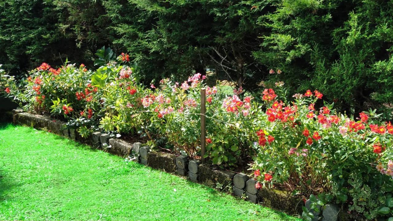 The Royal Terrace Holiday Bungalow Bed & Breakfast Nuwara Eliya Dış mekan fotoğraf